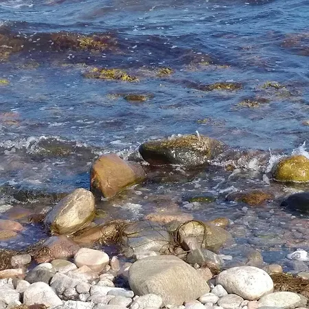 12 Person In Sjaellands Odde-by Traum *